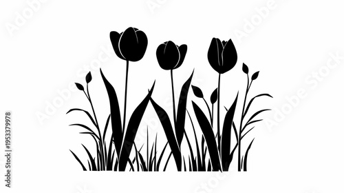 Black and white tulips illustration with grass and buds on white background