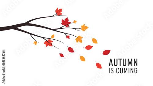 Autumn is coming text accompanied by a bare tree branch and falling orange maple leaves on a clean white background.
