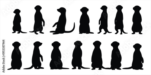 Meerkat Silhouettes in Various Poses on White Background animal wildlife