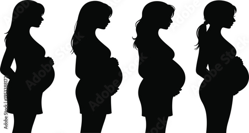 Pregnant Woman Silhouettes Showing Stages Of Pregnancy White Background belly