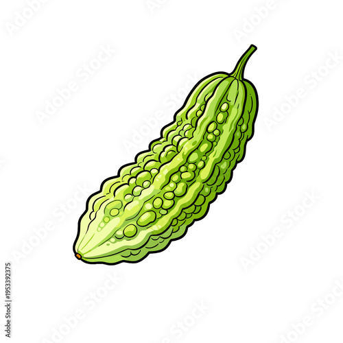 [Vector EPS]Fresh and green bitter melon showing its unique bumpy surface