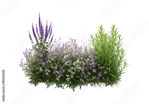 A vibrant garden bed featuring tall purple salvia spikes alongside lush green foliage and flowers