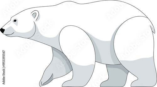 Polar bear vector illustration with white fur and shaded details walking on plain background, arctic wildlife animal silhouette for nature conservation environmental design.