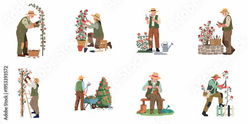 Set of flat vector illustrations featuring diverse gardeners pruning, planting, and caring for various types of rose bushes and flowers in garden settings.