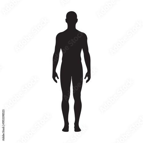 Silhouette of a human male body standing full length front view vector illustration