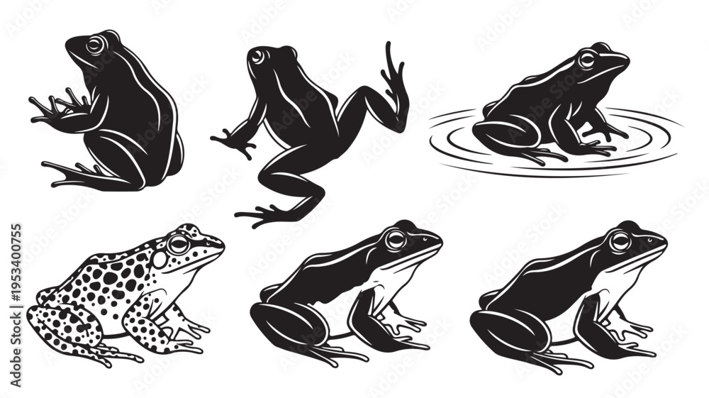 Fototapeta premium Set of 6 frog icons vector, black and white illustrations