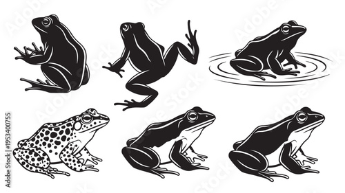 Set of 6 frog icons vector, black and white illustrations