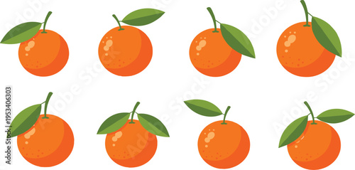 Fresh Orange Fruit Vector Set with Green Leaves Showing Different Positions for Healthy Food Illustration, Juice Branding and Organic Product Design