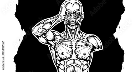 Detailed black-and-white illustration of the human anatomy highlighting muscles, skeleton, and posture.