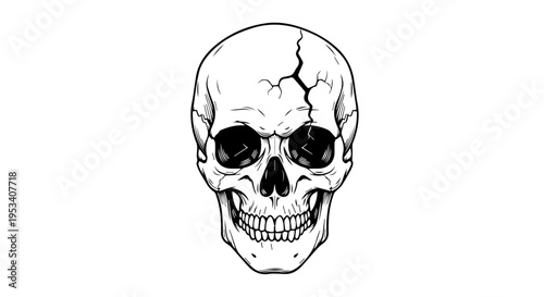 Lineart Skull Illustration with Cracks and Shading for Graphic Design Projects.