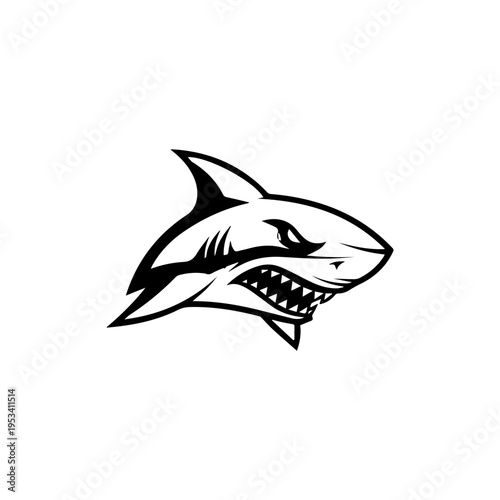 A black and white drawing of an angry shark with sharp teeth and a dorsal fin