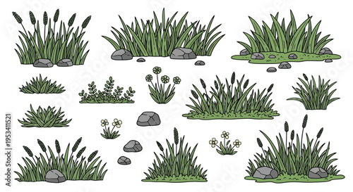 Bilde på lerret Collection of Hand Drawn Cattails and Grasses with Rocks.