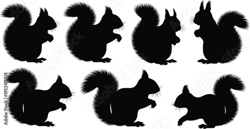 Squirrel silhouette collection. Woodland rodent wildlife vector set. Black isolated squirrels in playful poses with fluffy tails, sitting, eating and running.