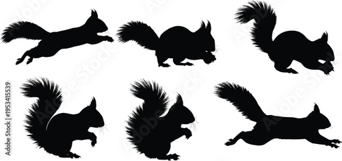Red squirrel silhouette collection. Forest rodent wildlife vector set. Black isolated squirrel poses jumping, running and sitting with bushy tail.