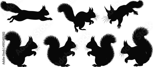 Red squirrel silhouette set. Forest rodent wildlife vector collection. Black isolated squirrel poses jumping, running and sitting with fluffy tail.