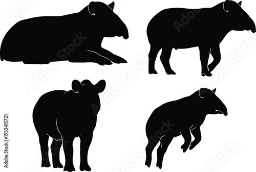 Malayan tapir silhouette set. Asian rainforest mammal vector collection. Black isolated tapir animal poses including standing, walking and resting wildlife.