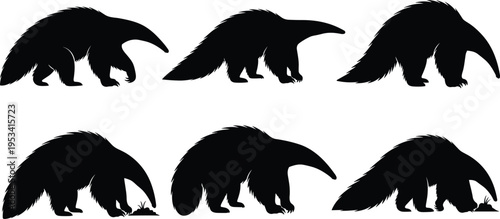 Giant anteater silhouette set. Myrmecophaga tridactyla wildlife vector collection. Black isolated mammal poses showing walking, sniffing and feeding anteater.