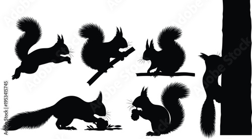 Red squirrel silhouette behavior set. Forest rodent wildlife vector collection. Black isolated squirrels climbing tree, jumping, running and holding nut.