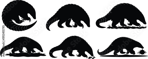 Pangolin wildlife silhouette set. Scaly anteater mammal vector collection. Black isolated pangolin animals foraging, walking and curled poses.