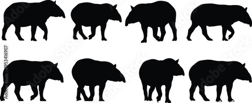 Tapir silhouette collection with walking and standing poses. Tropical forest mammal wildlife vector illustration set.