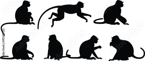 Langur monkey silhouette set. Asian primate jumping, sitting and interacting poses. Long tail forest monkey wildlife vector illustration collection.