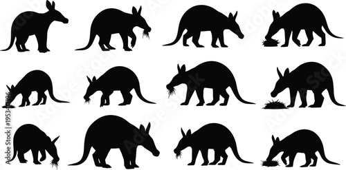 Aardvark silhouette collection. African anteater wildlife vector set with multiple poses. Black isolated mammal silhouettes including walking, digging, and feeding aardvark animals.
