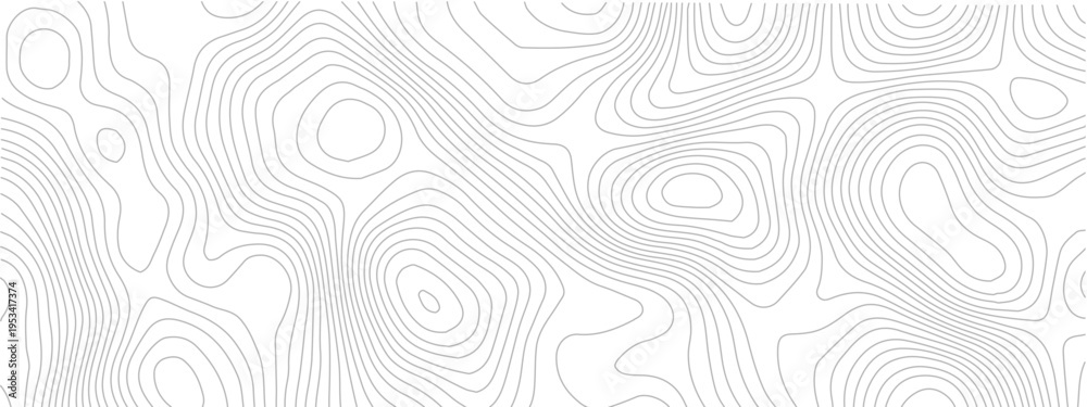 Fototapeta premium Topographic map seamless pattern contour lines on white background vector illustration for cartography and geography projects