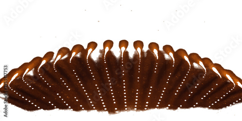 A macro closeup of a brown spiral hair brush isolated on a white background, featuring a metallic steel texture that resembles a sweet chocolate snack or a spring cone object