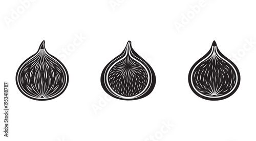 Blackandwhite illustrations of garlic bulbs in different crosssection views for cooking and recipe designs  food and ingredient concepts