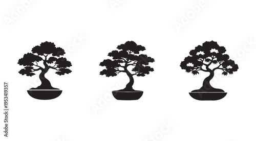 Bonsai trees in pots  three black silhouettes on white background  plants and flowers