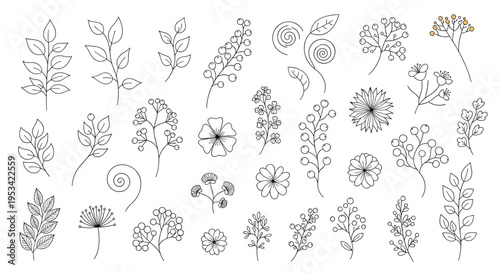 Collection of delicate hand-drawn botanical elements including various leaf branches, flowers, and berry sprigs in a line art style.