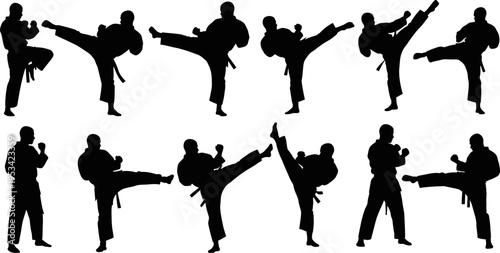 Silhouette of people practicing karate poses and movements in various stances and techniques