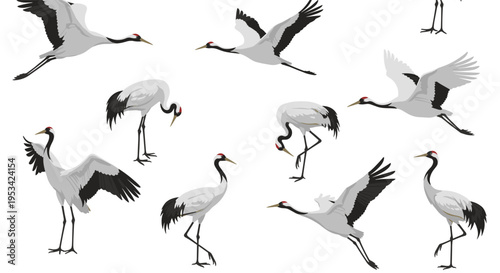 Artistic group of red crowned cranes in natural poses such as flying, standing, and preening in a minimalist oriental graphic style.