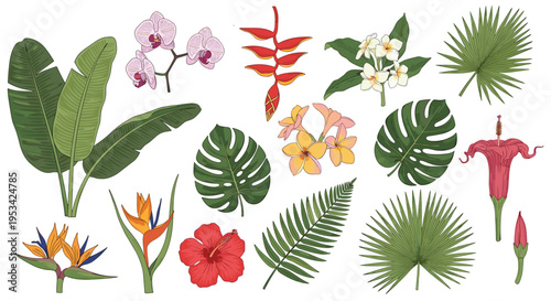 Collection of tropical flora features exotic leaves and vibrant flowers like hibiscus, orchid, and bird of paradise.