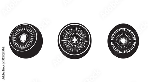 Three kiwi fruit slices in a row with different angles and views showing black skin and white seeds  kiwi fruit slices