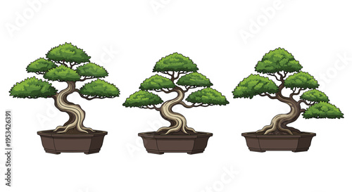 Set of three beautiful and meticulously pruned bonsai trees in traditional ceramic pots showing different styles of miniature tree growth.