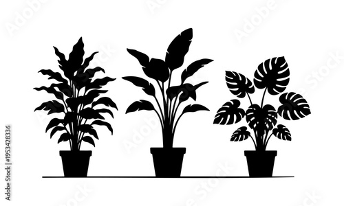 Set of tropical house plants in pots silhouette including Monstera and Palm