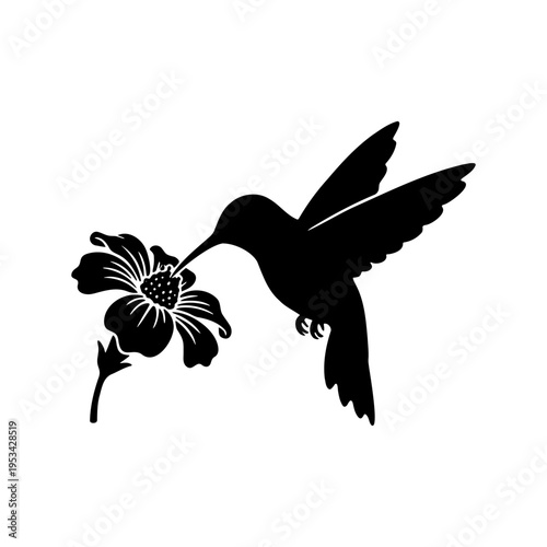 Hummingbird flying and drinking nectar from a flower silhouette