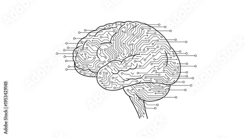 Detailed vector illustration of human brain with labeled parts