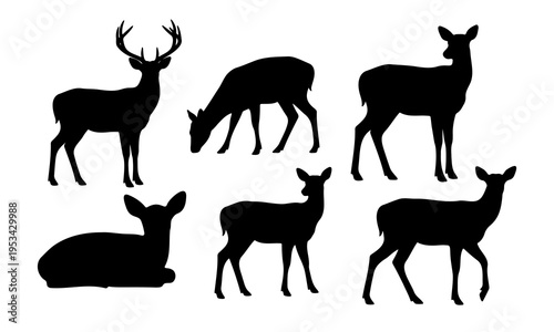 Set of deer silhouettes including buck with antlers and does in different poses