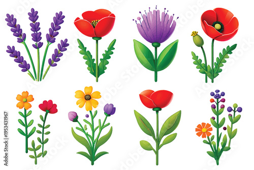 Collection of colorful illustrated wildflowers and herbs