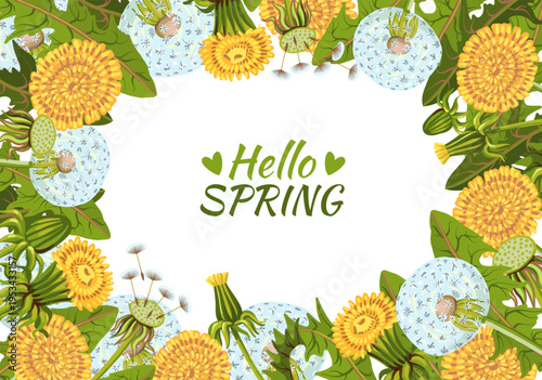 Dandelion frame. Beautiful yellow flowers, fluffy blowballs, spring or summer useful plants, floral background, banner design, blank copy space splendid vector cartoon isolated concept