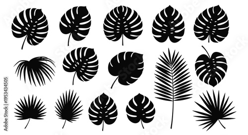 Collection of black silhouettes of various tropical leaves including monstera and palm fronds for exotic botanical designs.