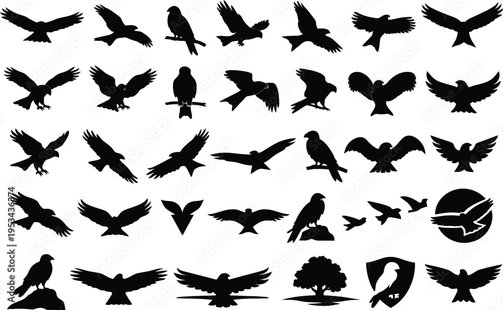 Fototapeta premium 30 Red Kite Bird Solid Black Silhouette Icons Set on White Background