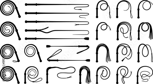 Illustration of a black bullwhip on a white background
