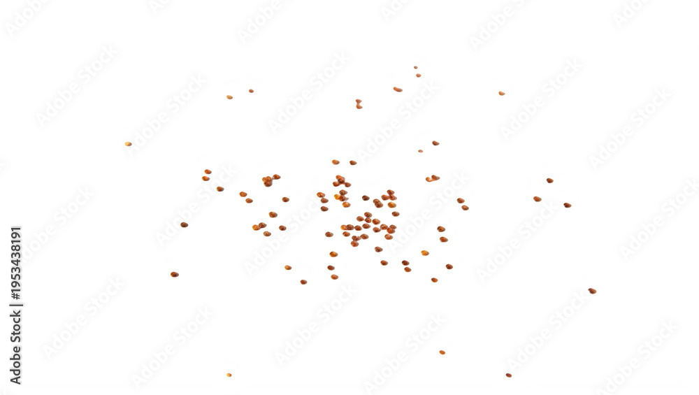 Fototapeta premium Many small brown coffee beans scattered on a surface transparent background