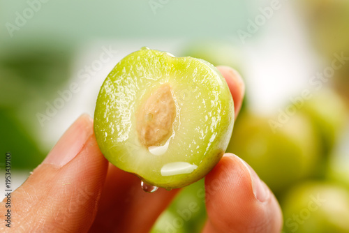 Fresh Green Plum Half with Pit - Guangxi Qianpai Variety Sour Fruit in Hand