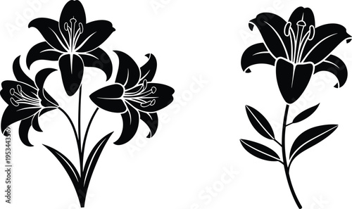 Black and white stylized illustrations of lily flowers with stems and leaves, showcasing elegant floral design for botanical, decorative, garden, and nature concepts