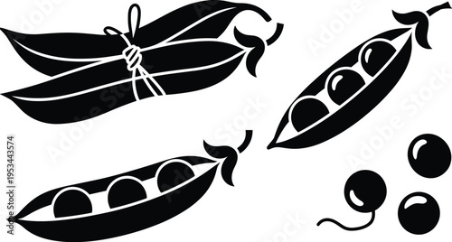 Black and white stylized illustration of pea pods and loose peas, showcasing natural vegetable design elements for food, agriculture, nutrition, and botanical concepts