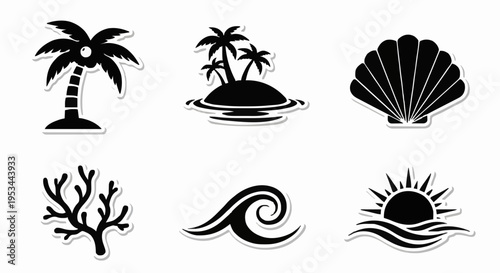 island wave coral palm shell sun